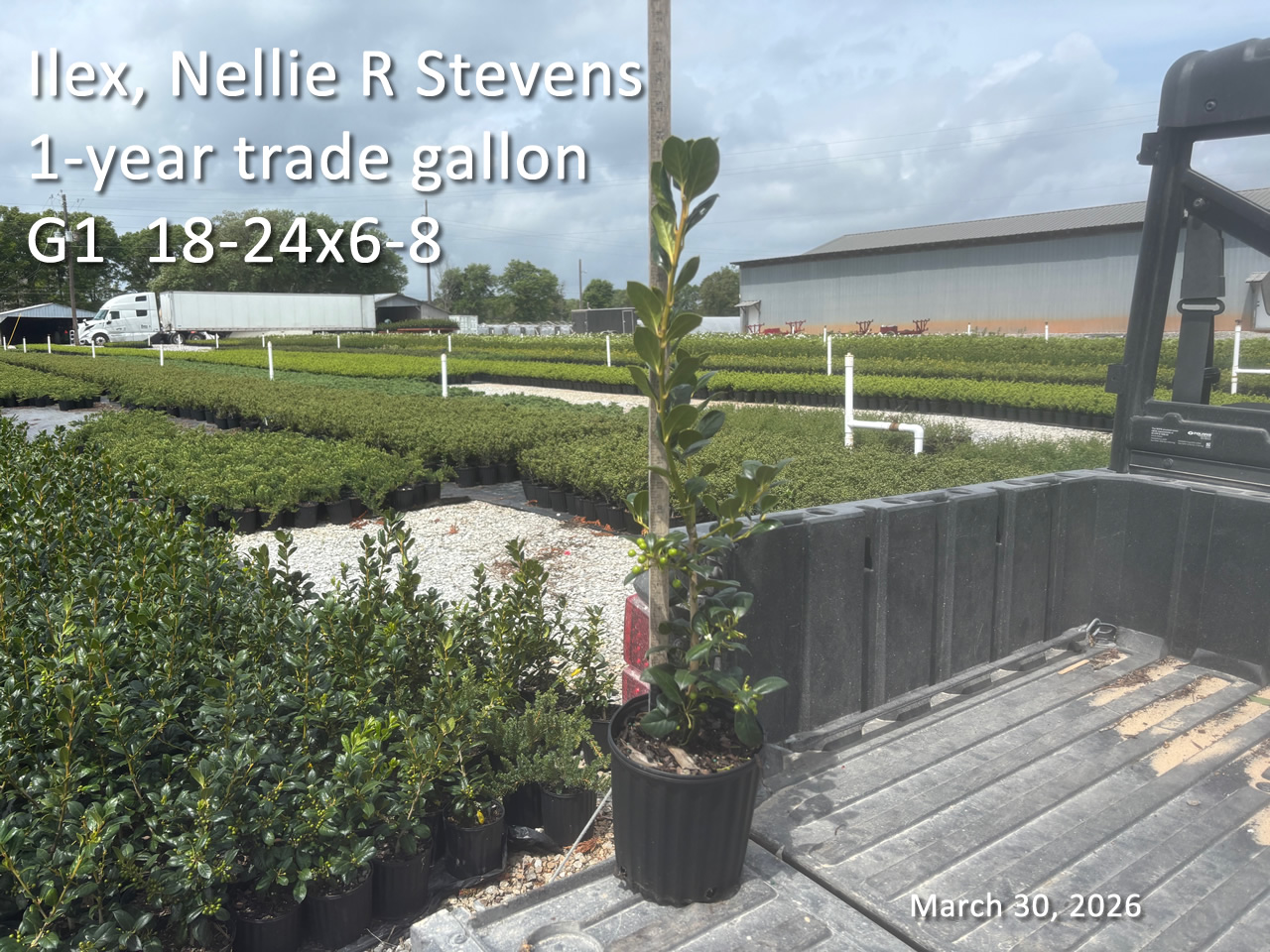 gallery/nrs1yt g1 mar30.jpg